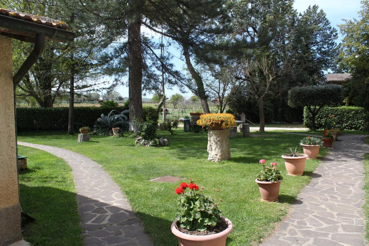 Agriturismo Il Capannone Guest House Монтемерано Екстериор снимка